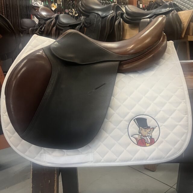 Arc de Triomphe Gazelle 17"M