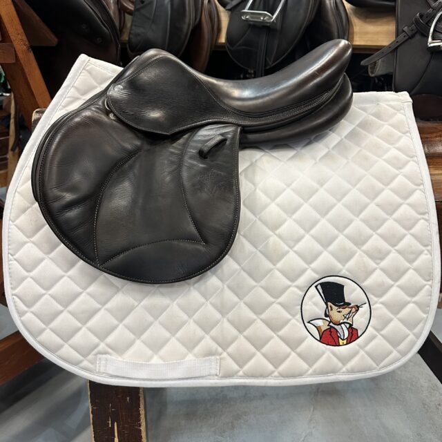 Voltaire Welli 15.5" 000