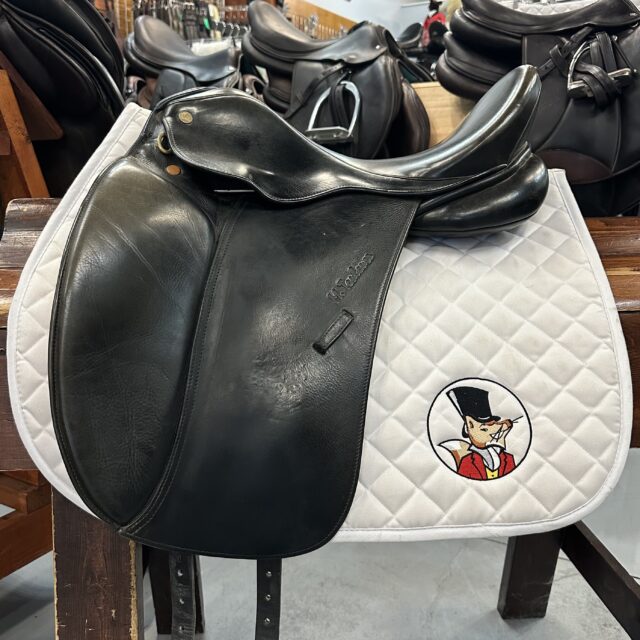 M. Toulouse Alyssa 17"M