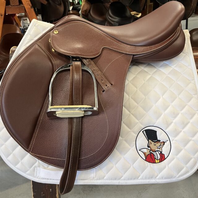 Collegiate Diploma XCH 17"