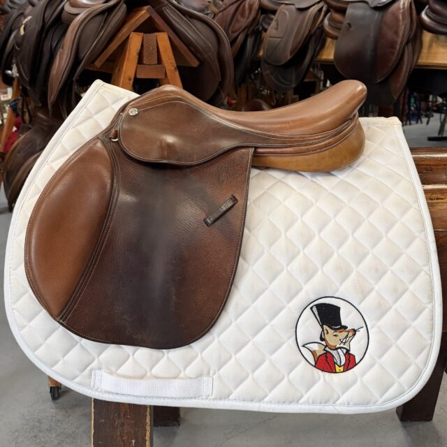 Pessoa Pony 15 3/4" W