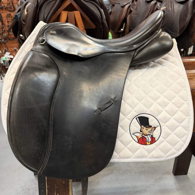 Anky Dressage 17" W
