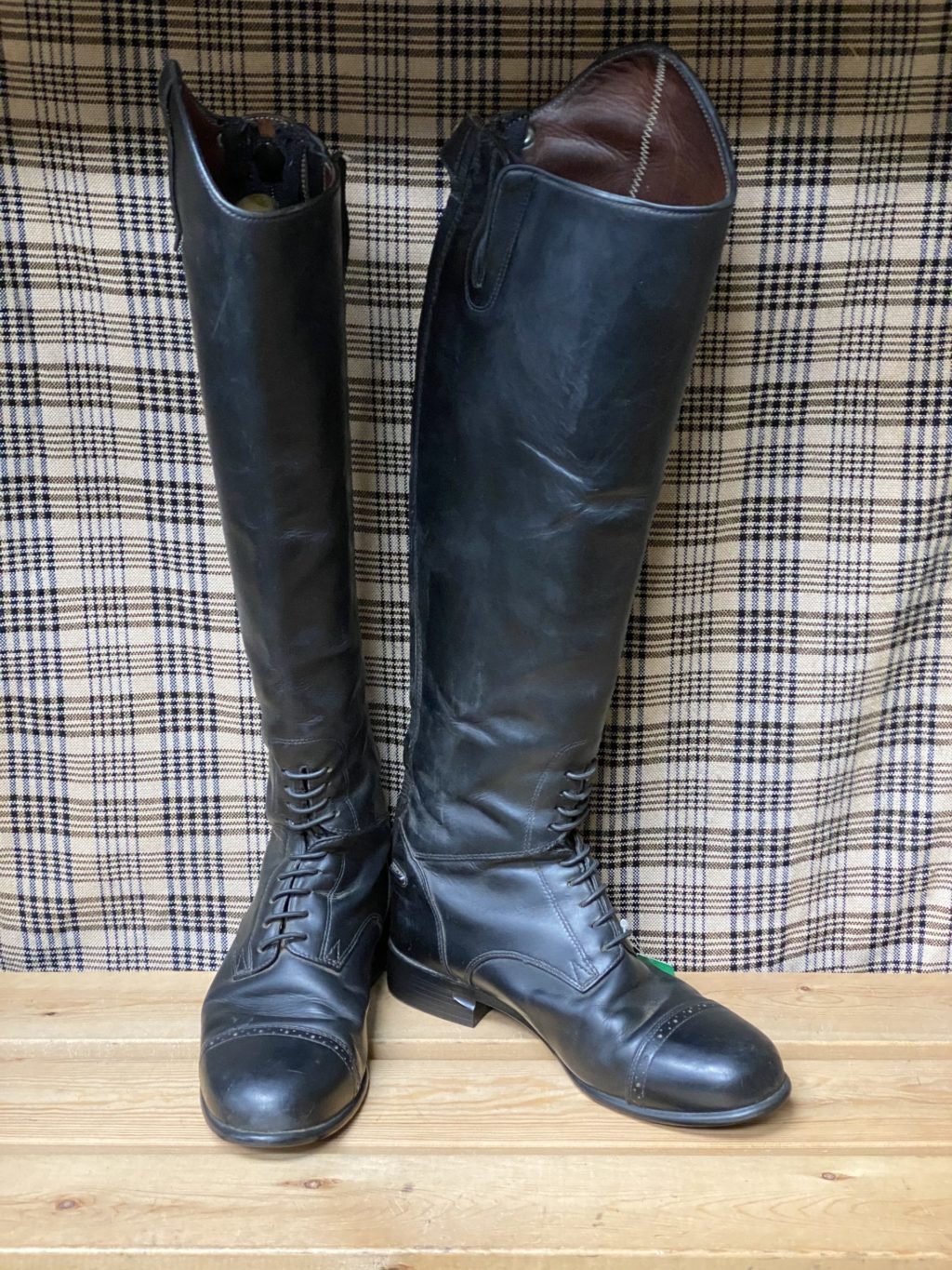 ariat crowne pro chaps