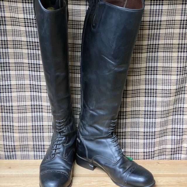 ariat maestro pro dressage boot